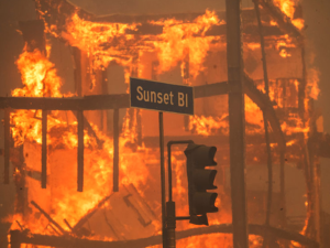 ‘It’s truly like living through a Hollywood horror movie:’ Agencies’ aid for employees